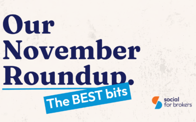 November’s Best 🏆